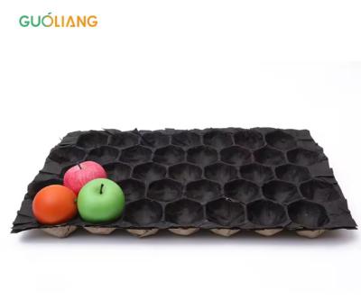Biodegradable Round Fruit Paper Cavity Tray Liner Protection During Transport Empaque Para Frutas Alveolos