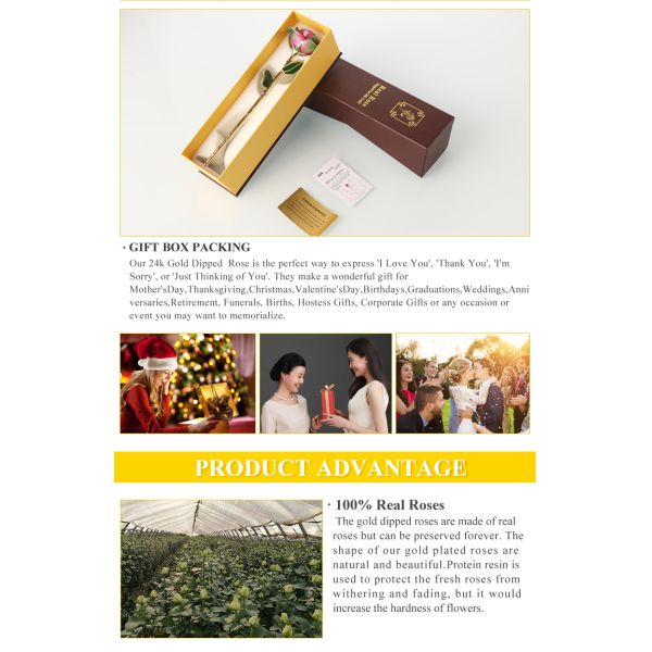 Long Stem Rose Dipped in 24k Gold  Gold Trimmed Rose with Gift Box and Clear Display Stand Best Gift for Christmas Gifts