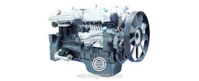 Weichai WD12 Euro II HD Truck Engines