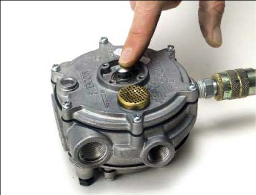 Silicone Diaphragm Model J  IMPCO Repair Kits