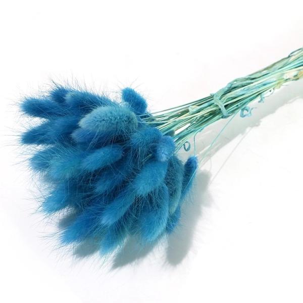 Wholesale cheap preserved dried flower 150 pcs /bunch dried rabbit tail grass lagurus ovatus