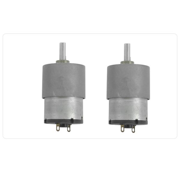 FT-37RGM520 6 12V 24V Mini Gear Box Motor Transmission Micro Geared Motor