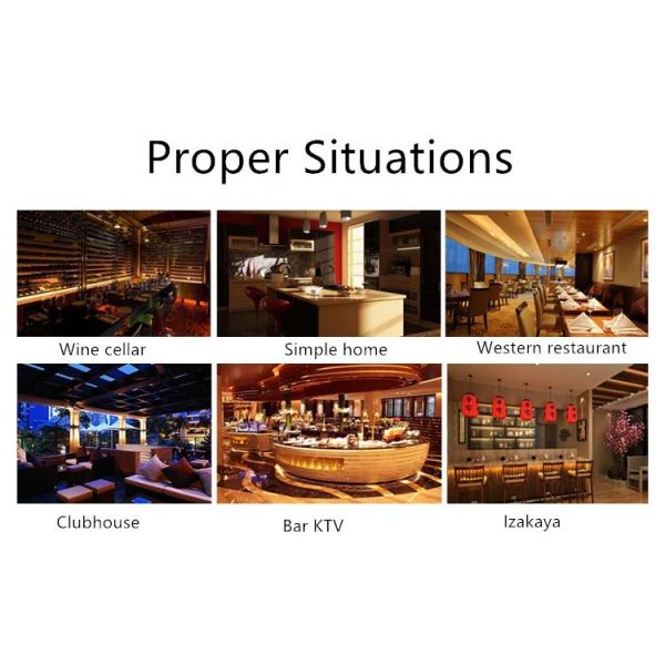 Отсутствие листьев загрязнения 30cm бамбуковых сухих для еды суш