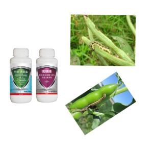 20,4% Emamectina Benzoato 10% Clorfenapyr SC Insecticidas vegetais naturais Para
