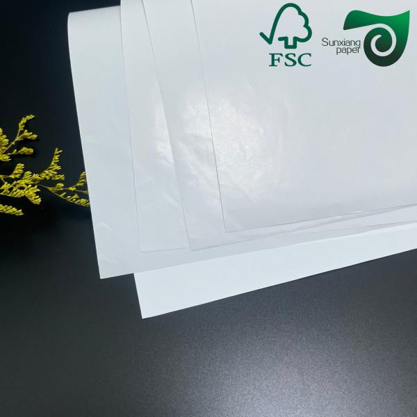 FSC 8pt 10pt High Rigidity C2S Glossy Paper 660mm 990mm For High Class Artwork