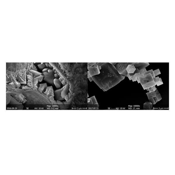 Opto Edu A63.7069 Аппаратура сканирующего электронного микроскопа Std 8x~300000x