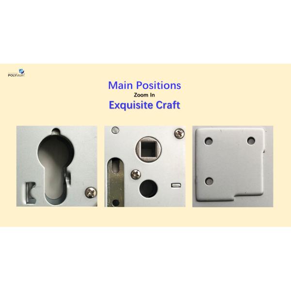 Level Security Electric Lock Polymath Z5572 with CE Certification and Waterproof Design