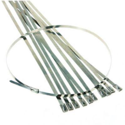 cinta plástica 7.9mm solar de 4.6mm, laços de aço inoxidável do fecho de correr Sus304 para acessórios da montagem de painel solar
