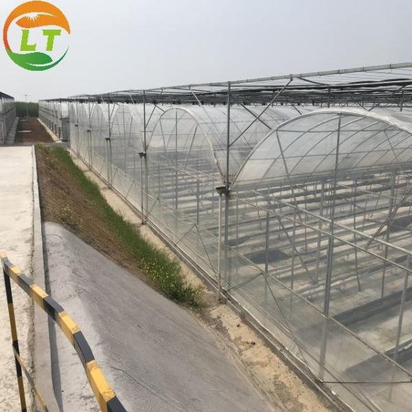 Estufas LiTai Filtro multiespan Agricultura Estufas com estrutura de aço