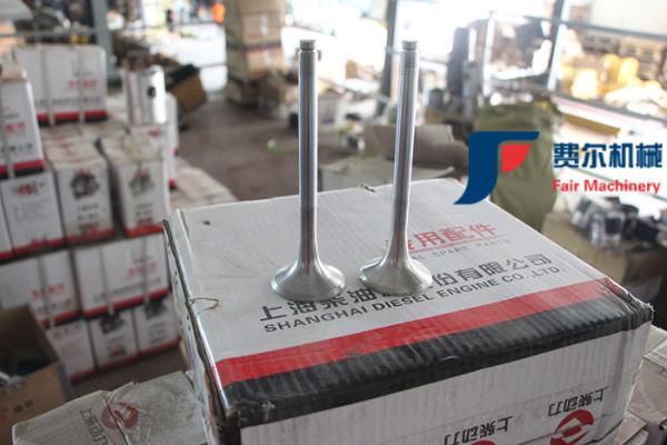 WP123003QD Weichai Engine Spare Parts Air Intake Valve 612600050073