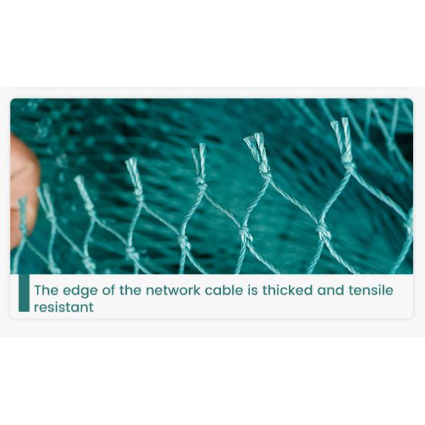 factory price pe farm plastic nets garden orchard anti bird net