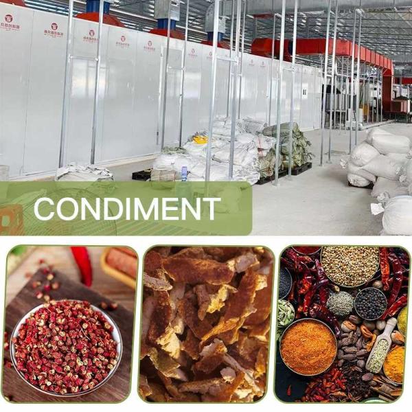 SGS Continuous Belt Dryer Machine Dehumidification