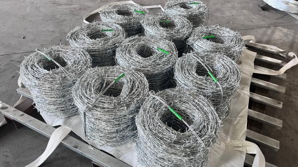 KN Hot Selling Fencing Barbed Wire Electro Galvanized Barbed Wire