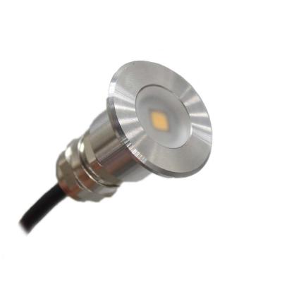Luzes impermeáveis da plataforma do diodo emissor de luz da C.C. 1W da mudança 12V da cor