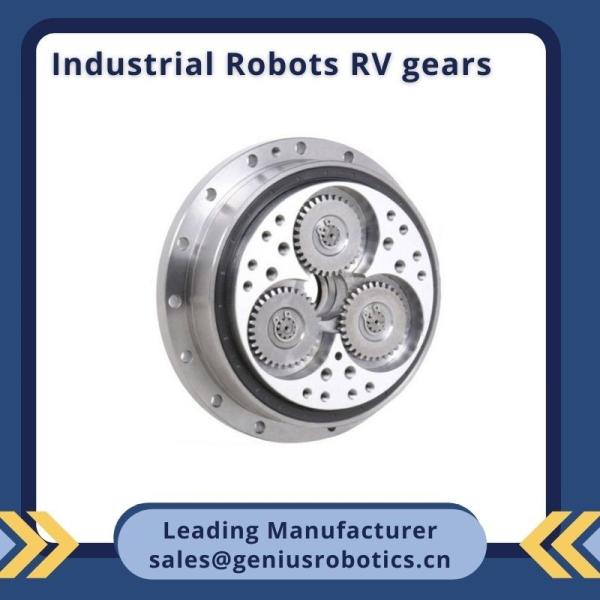 High Rigidity Cycloidal RV Gear Reducer With Dual Support Mechanism