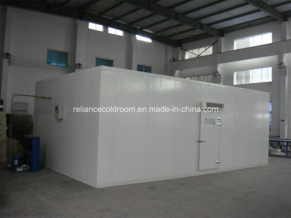 Estrutura montada de grande painel de poliuretano de alta densidade, sala fria para carne e peixe