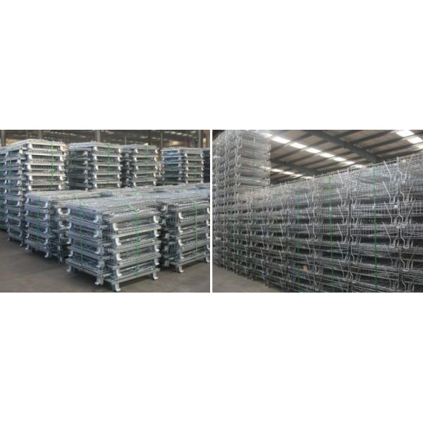 Folding Metal Frame 6.4mm Butterfly Steel Security Cages Stainless