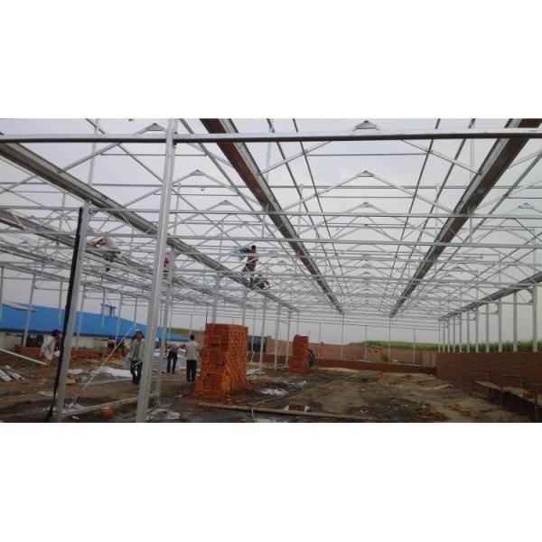 High Strength Agricultural Poly Tunnel Green House/Tomato Greenhouse