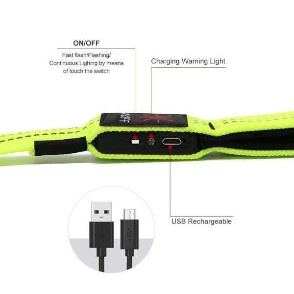 ODM reflexivo recarregável do OEM da noite da polegada 120cm da trela 47,2 do cão do diodo emissor de luz de USB disponível