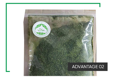 Wholesale High Fiber Aonori Seaweed Ulva Lactuca Powder with 24 Month Shelf Life and Seasoned Taste