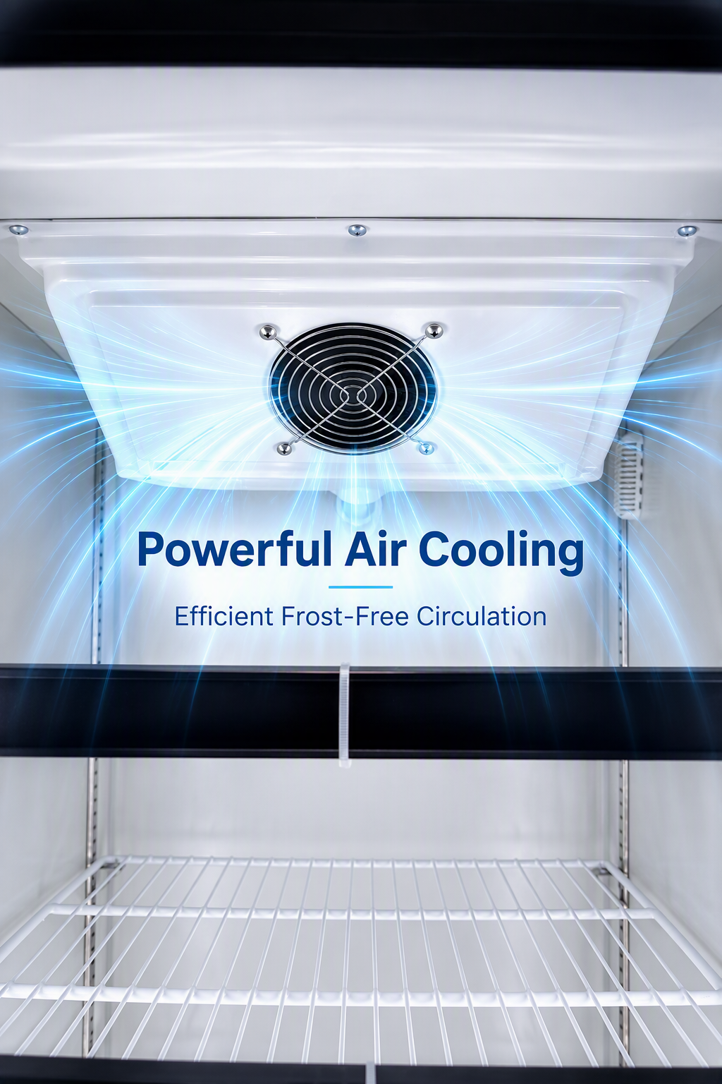 Commercial Beverage Cooler with 2000L Volume R290a Refrigerant and Adjustable Shelves Display Glass Door Freezer