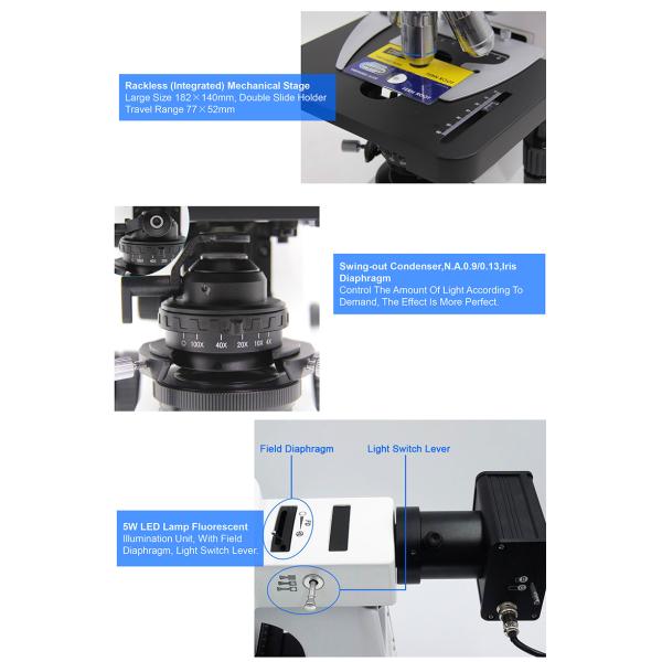OPTO-EDU A16.2603-UL LED Fluorescent Light Microscopy 6V 30W Halogen Ultra LED Fluorescent Microscope
