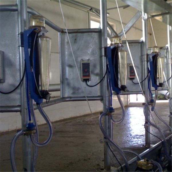 Herringbone Milking Parlor with 380V/50Hz Power and CE ISO SGS FDA Certification for Dairy Cows