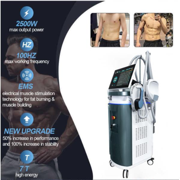 4 Handles EMS Slimming Rf Machine Reduce Fat Build Muscle Skin Tightening