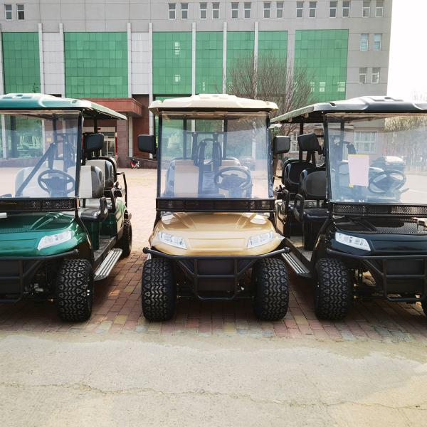 1000kg 100km Passenger Limo Golf Cart Custom