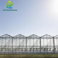 Serre chaude en verre agricole de laitue d'hiver de largeur de la serre chaude 9.6m de toit de triangle