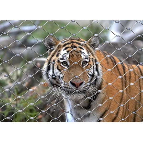 Stainless Steel Rope Mesh Zoo Fencing – High Safety and Aesthetically Pleasing