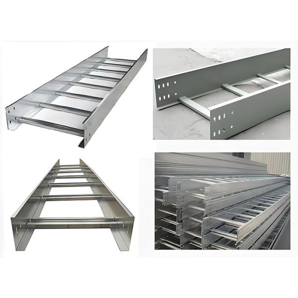 Plateau de câbles de 3 à 6 m et échelle Capacité de charge élevée jusqu'à 500 kg Design flexible