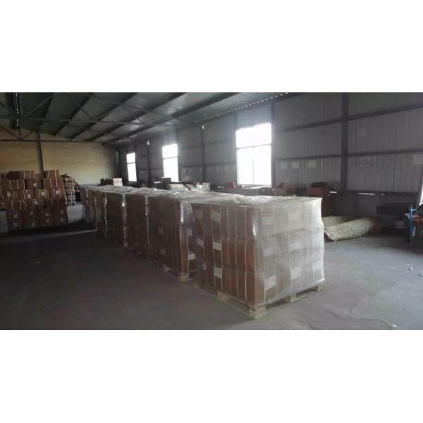 Las instalaciones de tuberías atornilladas de acero inoxidables roscaron el enchufe cuadrado de la cabeza de las instalaciones de tuberías, 150PSI, SS304 SS316