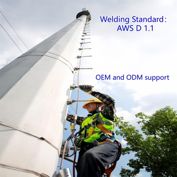 20M 30M Monopole Edge Computing Supported Communication Tower Speed Data Processing For Smart City