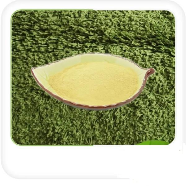 16-0-0 adubo Ph4-6 do vegetal de Omri Enzymatic Amino Acid 80%