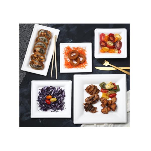 100% Natural 17g Sushi  Sugarcane Compostable Plates