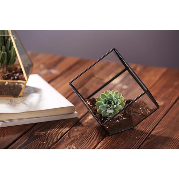 Geometric Cubic Moss Glass Homeware Flower Plant terrarium Planter Seamless Solder
