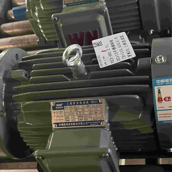 Motor elétrico à prova de explosões da baixa tensão IE3 para o gás explosivo