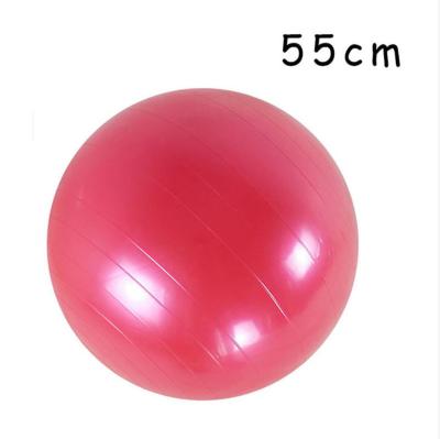 55cm Multi Function Yoga Stability Ball PVC Non Slip Home Use