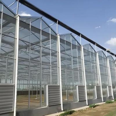 Modern Venlo Glass Greenhouse Of Plant Tomato Cucumbers Beautiful And Sturdy With High Wind Resistance