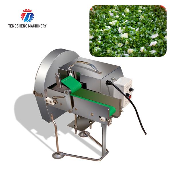 Coupeur de bureau de poireaux de machine de transformation du de légumes 0.375KW