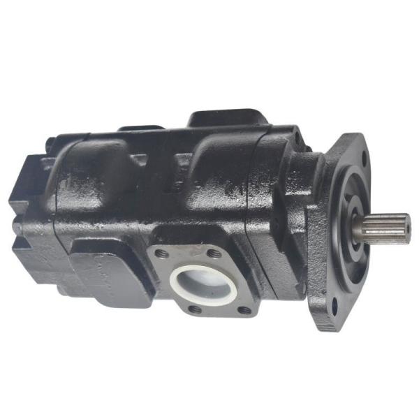 Excavator Pump 20/925340 Gear Pump 3cx/4cx Backhoe Loader Pilot Pump