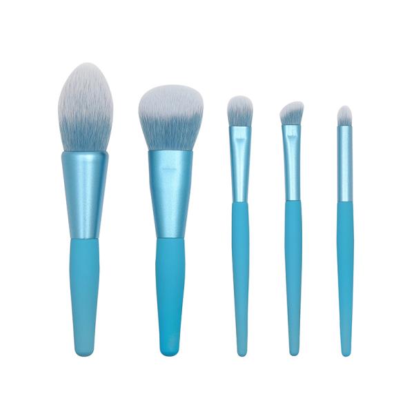 Matte PBT Hair 5pcs Makeup Brush Set Mini Travel Makeup Brush Set