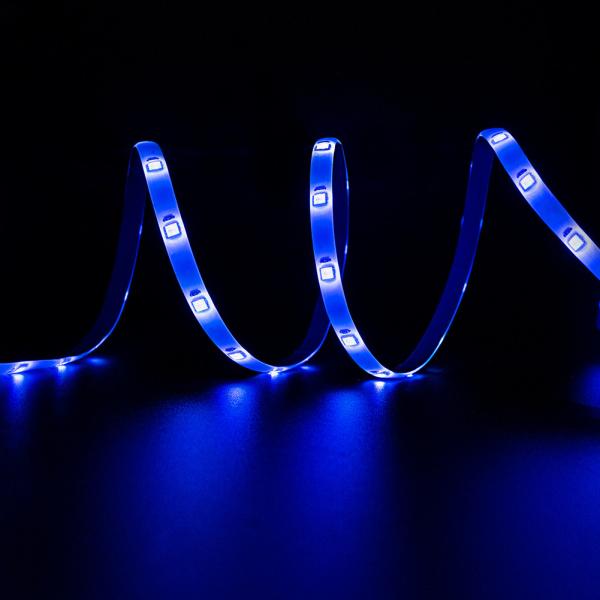 Dimmable DIY RGB Smart conduziu a tira com os 100 claros brancos frios - 240VAC