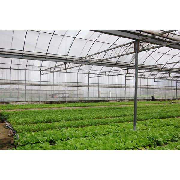 Теплица для выращивания овощей, многопролетная, с покрытием из полиэтиленовой пленки, для томатов