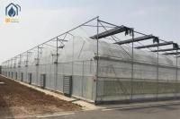 Diente de sierra de película de plástico tropical para tomates vegetales agrícolas