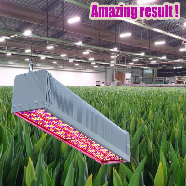 640W Greenhouse Supplemental Lighting 660nm IP65 Grow Lights For Vegetables Indoors