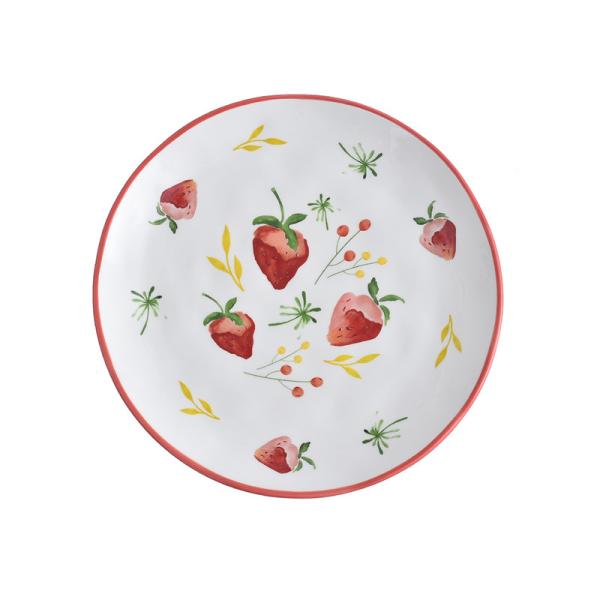 Savall 12 Piece Round Dinnerware Set FDA Ceramic Plates And Bowls