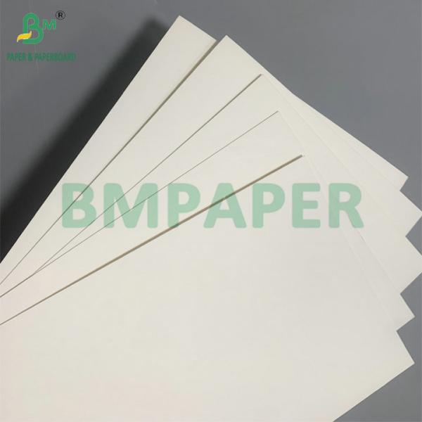 18g PE Coated Waterproof 210gsm Cup Stock Paper For Making Coffee Cup