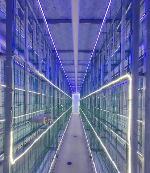 Mobile Mushroom Cultivation Container Farm with 5000-Bag Capacity